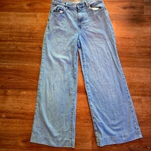 Women's Everlane High Waist Summer Wide Leg Jeans Light Wash Size 27